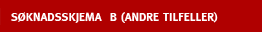 S�knadsskjema B (andre tilfeller)